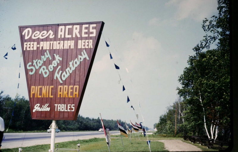 Deer Acres Storybook Amusement Park - Vintage Postcard Of Sign